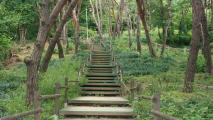 산책하듯 산행하듯 숲속 나들이,서울특별시 광진구